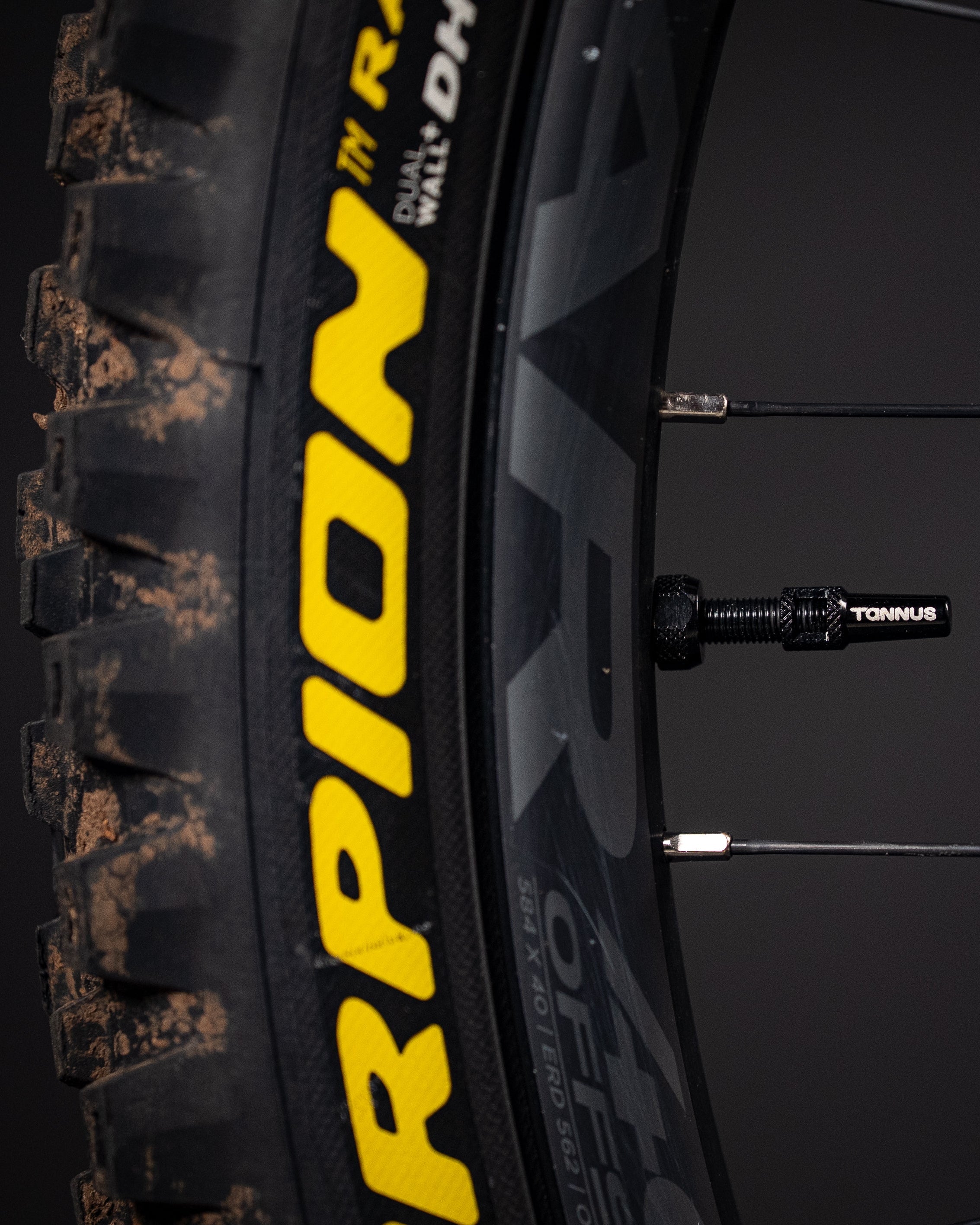 Close-up of a black bicycle tire with bold yellow 'SCORPION' lettering and a black valve stem on a dark background.